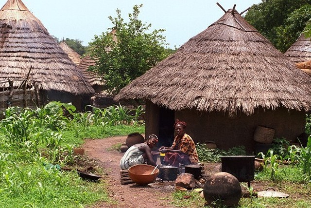 Thatched Roofs